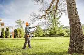 Best Storm Damage Tree Cleanup  in Haubstadt, IN