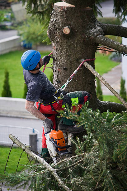 Lawn Pest Prevention in Haubstadt, IN